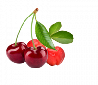 Višne a acerola